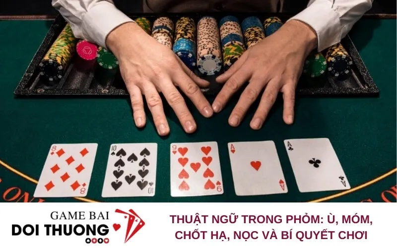 Thuật Ngữ Trong Phỏm: Ù, Móm, Chốt Hạ, Nọc Và Bí Quyết Chơi